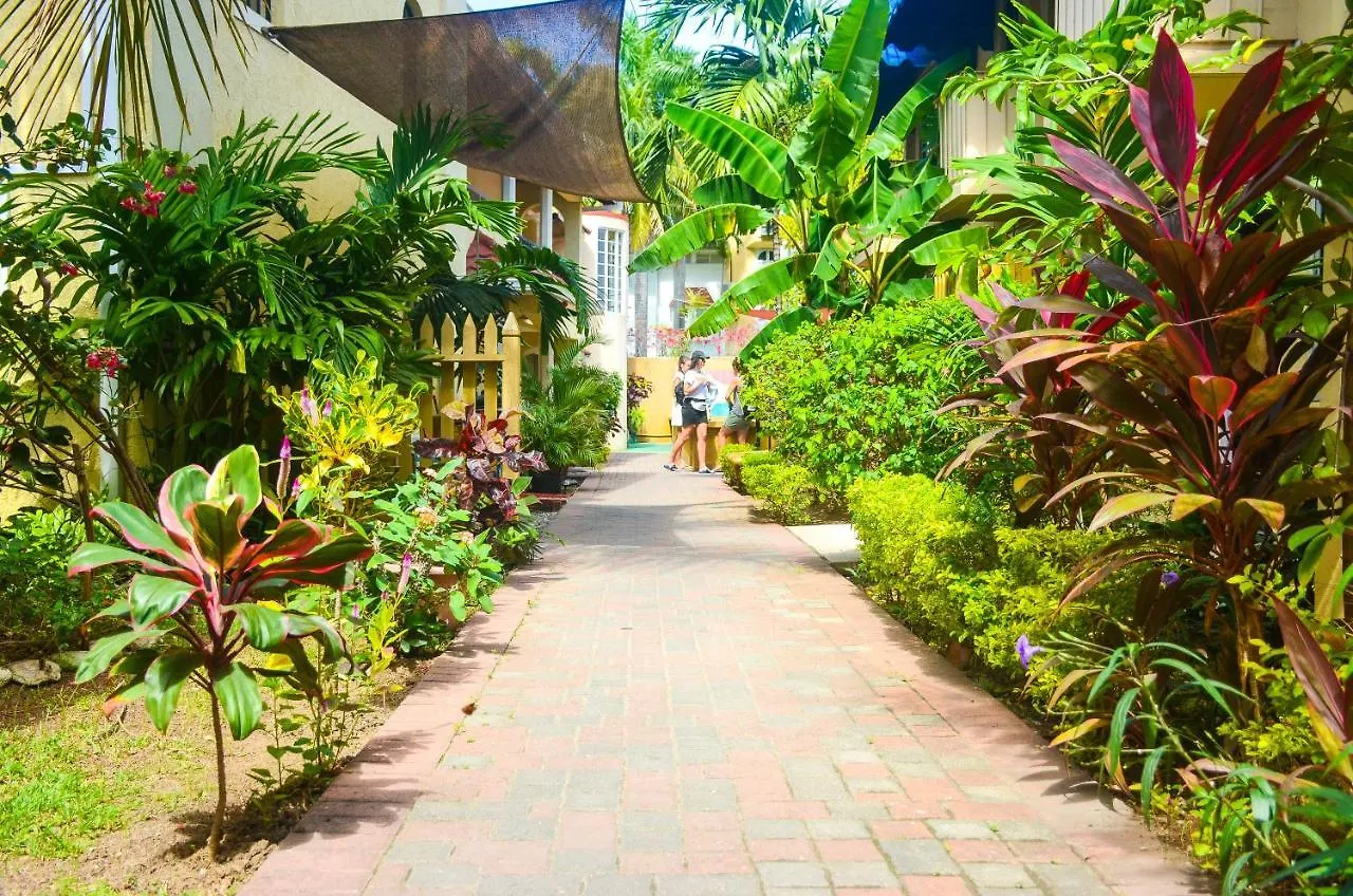 Reggae Hostel Ocho Rios Jamaica