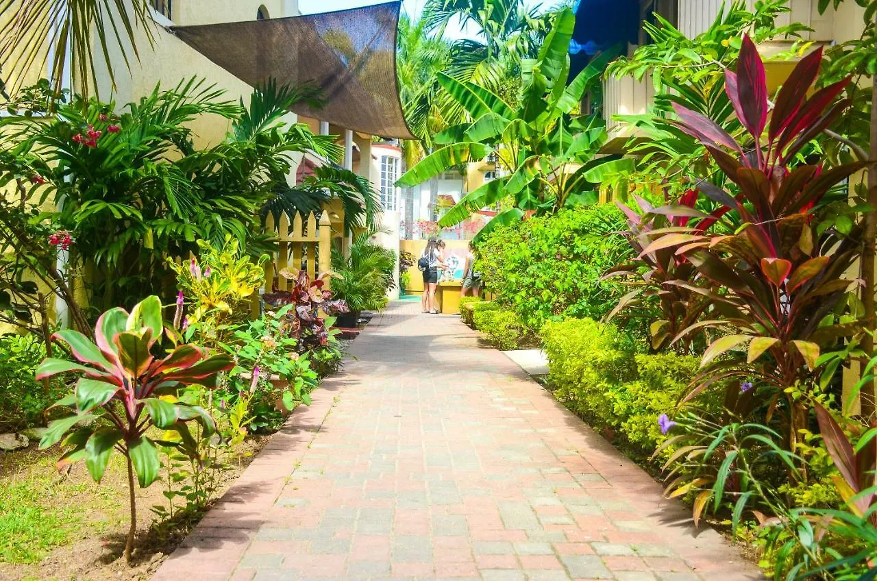 Reggae Hostel Ocho Rios